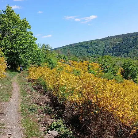 Le Panorama Vakantiehuis La-Roche-en-Ardenne